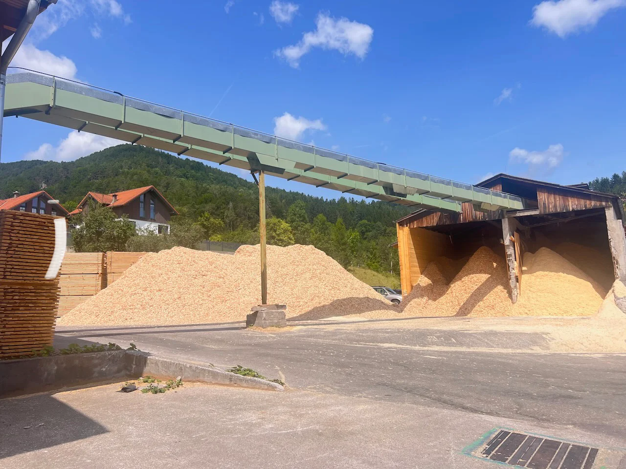 Complete sawmill system: EWD - Springer - Nicholson.... - Image 8